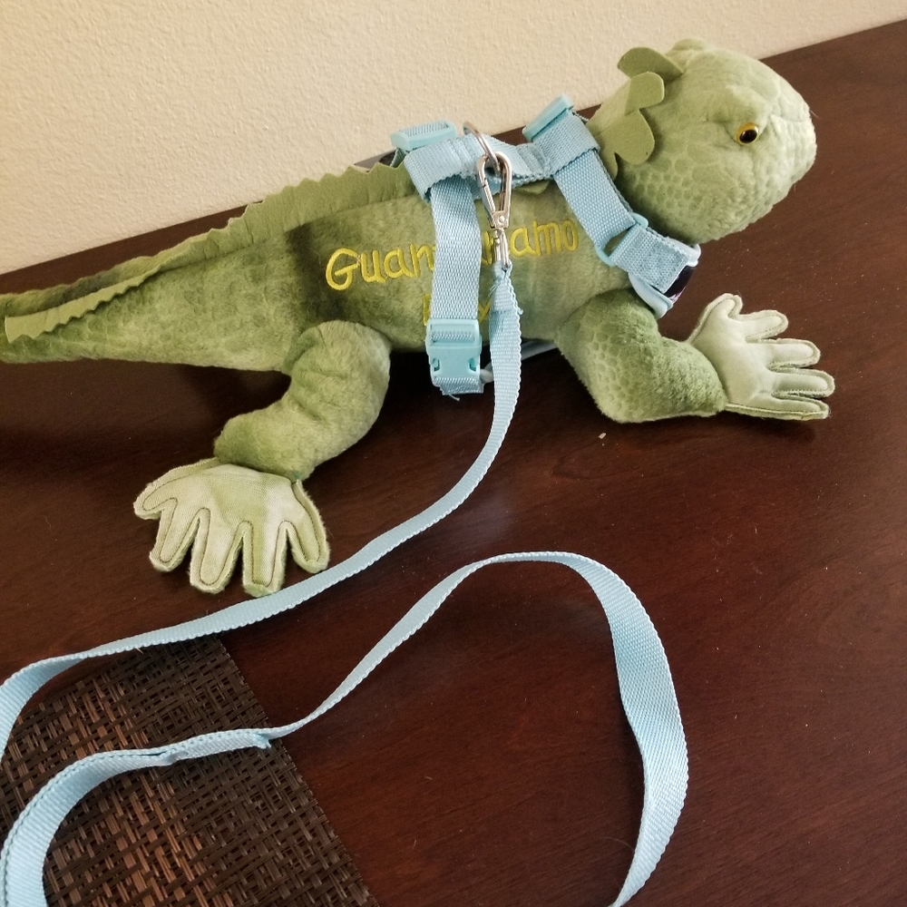 Pet harness